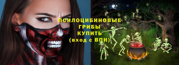 apvp Абаза